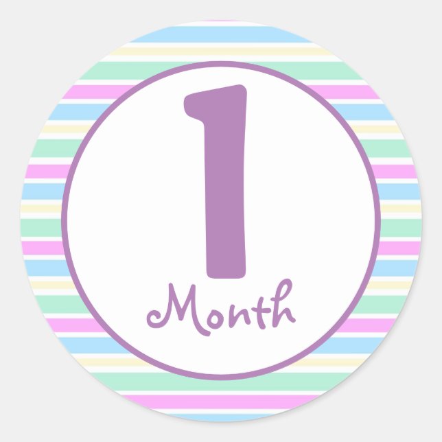 Baby Month Stickers (Front)