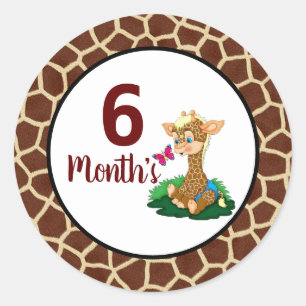 Baby Month Stickers