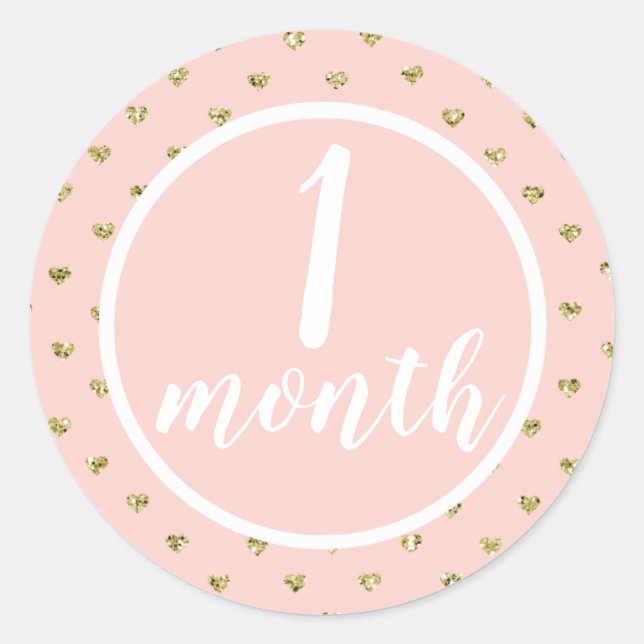 Baby Monthly Milestone Classic Round Sticker (Front)