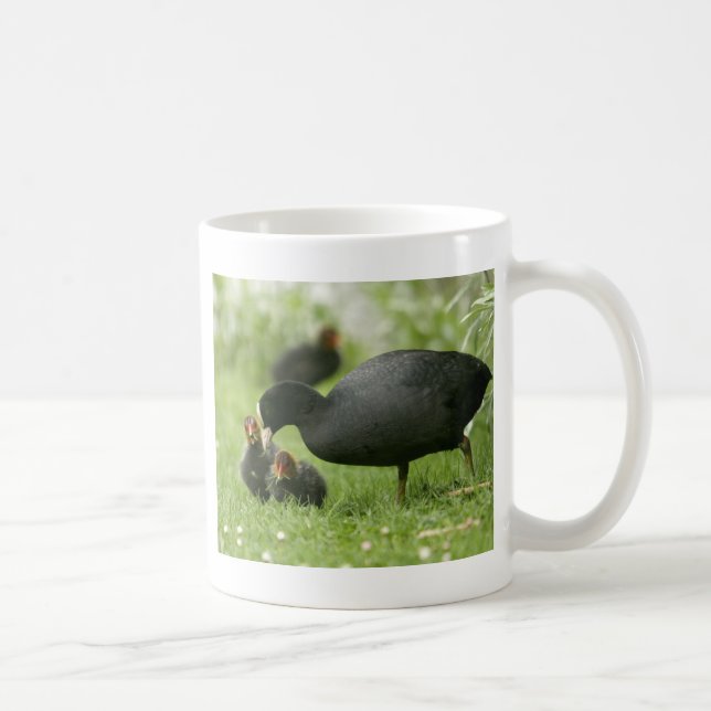 Baby Moorhens Coffee Mug (Right)