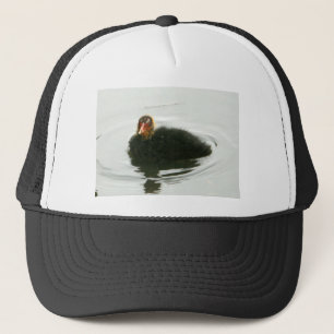 Baby Moorhens Trucker Hat
