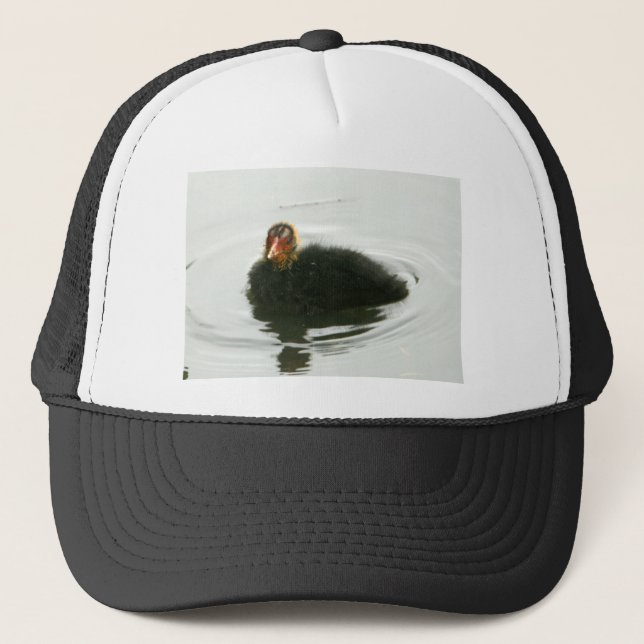 Baby Moorhens Trucker Hat (Front)