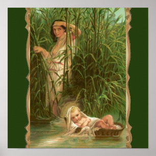 Baby Moses And The River Nile Poster