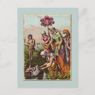 Baby Moses In A Basket Postcard