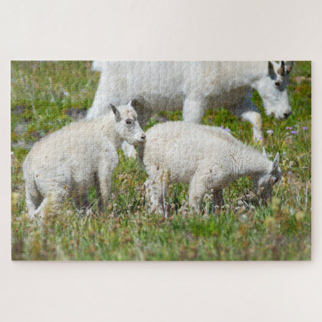 Baby Mountain Goats at Mount Rainier Jigsaw Puzzle (Horizontal)