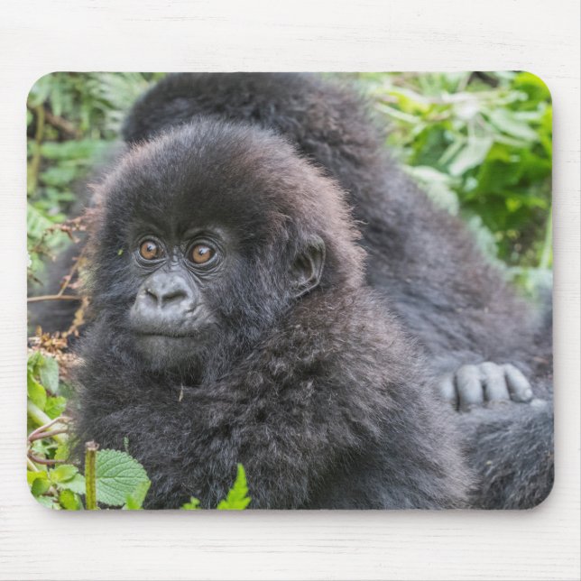 Baby Mountain Gorilla Mouse Mat (Front)