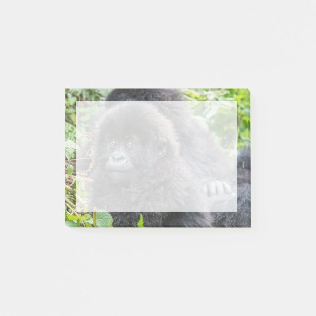 Baby Mountain Gorilla Post-it Notes (Front)