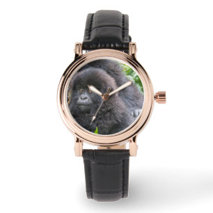 Baby Mountain Gorilla Watch