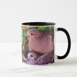 Baby Mourning Dove & Mama Mug
