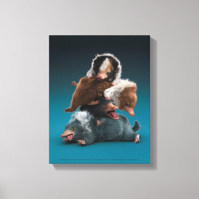 Baby NIFFLER™ Pile Canvas Print (Front)