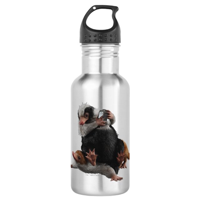 Baby Nifflers Find A Prize 532 Ml Water Bottle (Front)