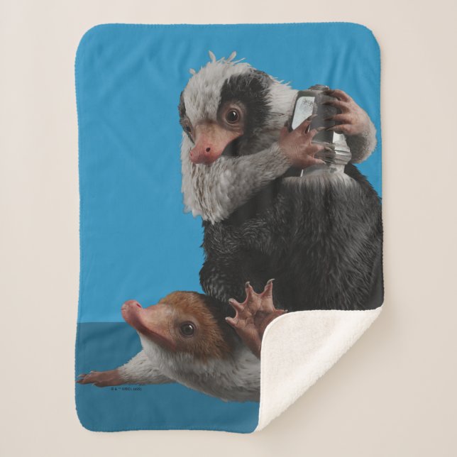 Baby Nifflers Find A Prize Sherpa Blanket (Front)