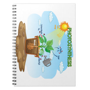 Baby notebook