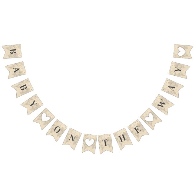 Baby on the Way World Travel Map Shower Sprinkle Bunting (All)