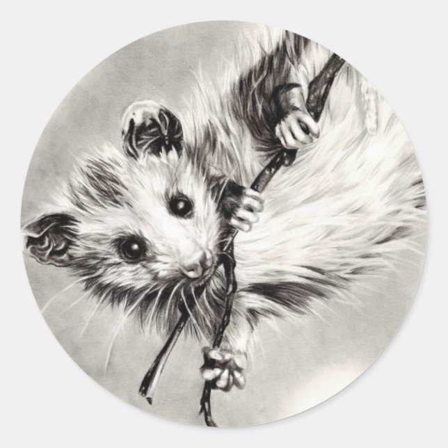Baby Opossum Stickers (Front)