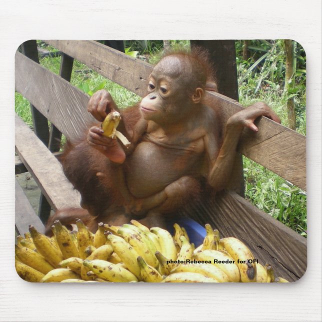 Baby Orangutan Banana Picnic   Mouse Mat (Front)