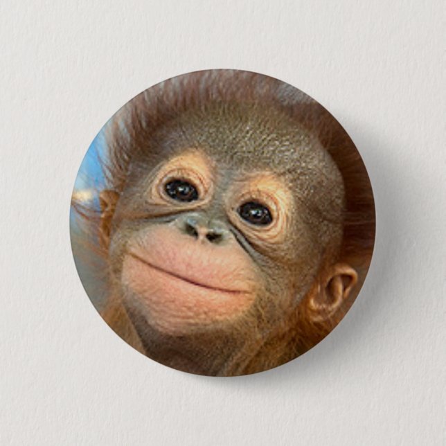 BABY ORANGUTAN BUTTON PIN (Front)
