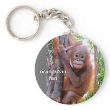 Baby Orangutan in Tree