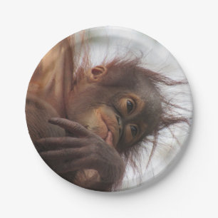 Baby Orangutan Paper Plates