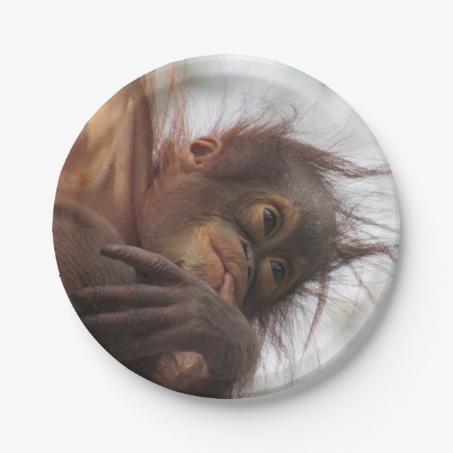 Baby Orangutan Paper Plates (Front)