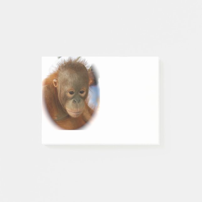Baby Orangutan Post-it Notes (Front)