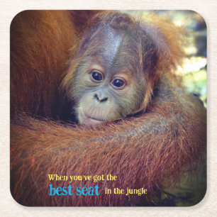 Baby Orangutan Square Paper Coaster