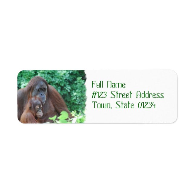 Baby Orangutan with Mother Mailing Labels (Front)