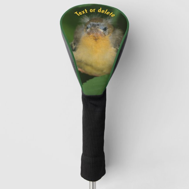 Baby Oriole Fledgling Bird Personalised Golf Head Cover (Front)