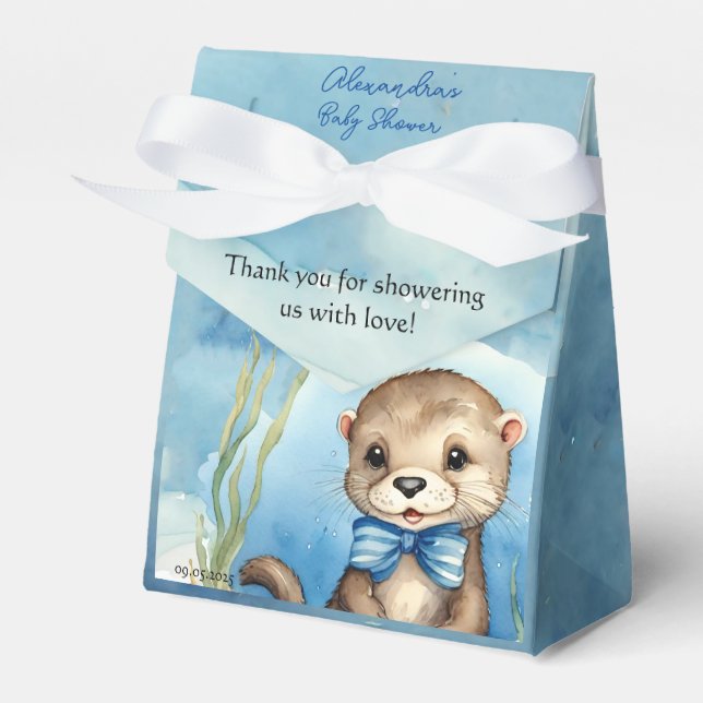 Baby Otter Boy Baby Shower Favour Box (Front Side)