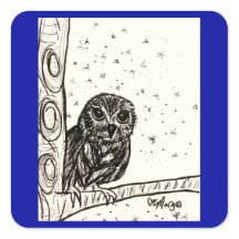 Baby Owl Basking in the Night