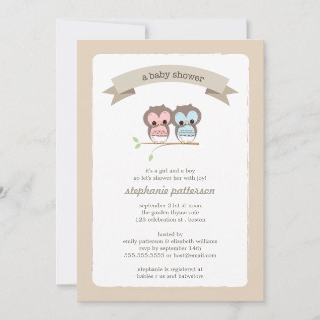 Baby Owl Girl & Boy Twin Baby Shower Invitation (Front)