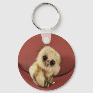 Baby Owl Keychain