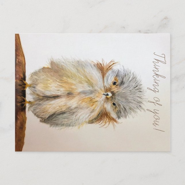 Baby Owl Postcard with Bible Verse (Front)
