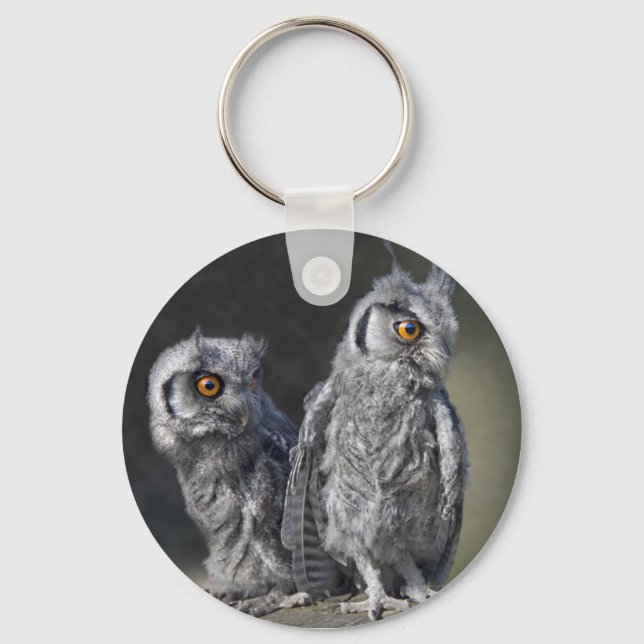 Baby Owls Keyring (Front)
