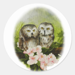 Baby Owls painting on customisable products Classic Round Sticker