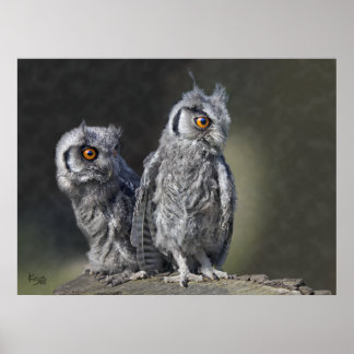 Baby Owls Print
