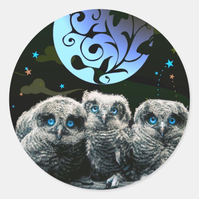 Baby Owls Under The Moonlight Classic Round Sticker (Front)