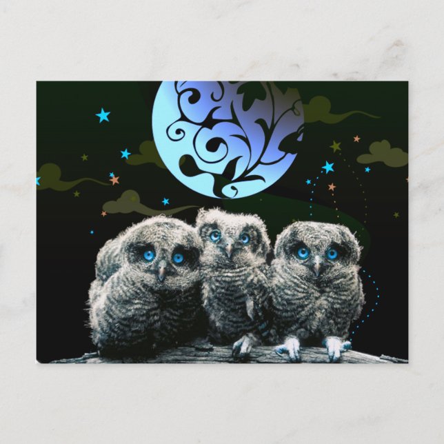 Baby Owls Under The Moonlight Postcard (Front)