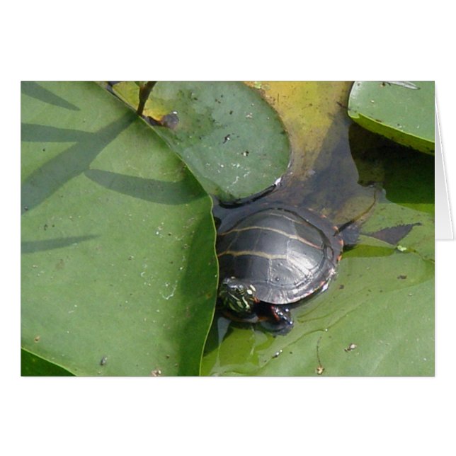 Baby Painted Turtle on Lilypad Items (Front Horizontal)
