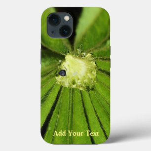 Baby Palm Plant by Shirley Taylor iPhone 13 Case