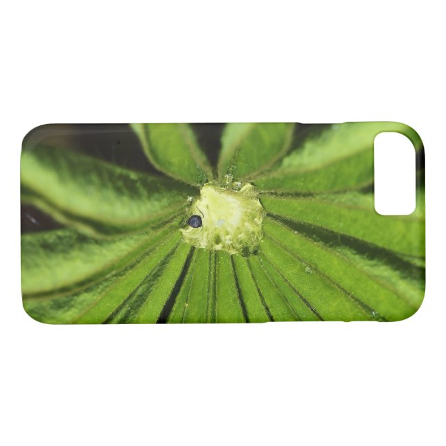 Baby Palm Plant by Shirley Taylor Case-Mate iPhone Case (Back (Horizontal))