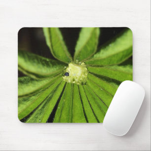 Baby Palm Plant by Shirley Taylor Mouse Mat
