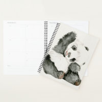 Baby Panda | Cute & Furry