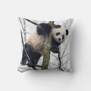 Baby Panda in Tree Cushion