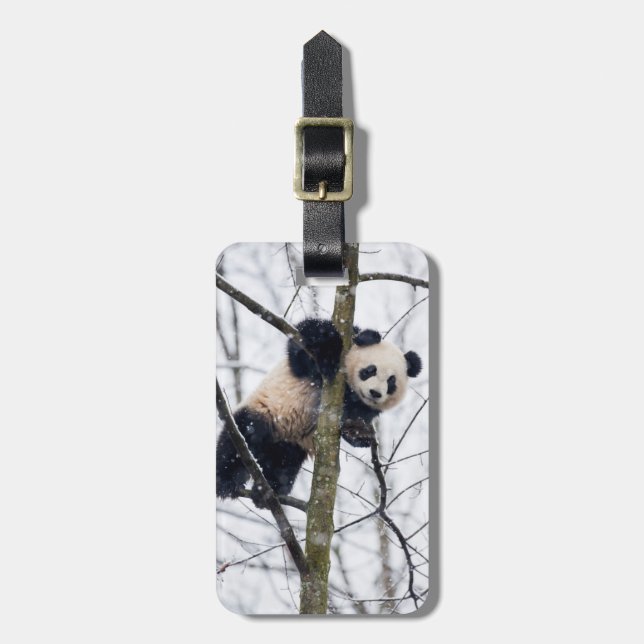 Baby Panda in Tree Luggage Tag (Front Vertical)