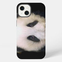 Baby Panda