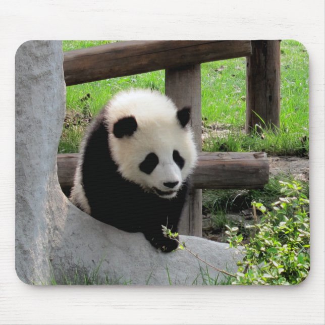 Baby Panda Mouse Mat (Front)