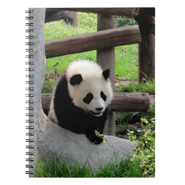 Baby Panda Notebook (Front)