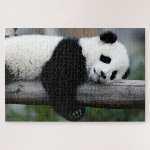 Baby Panda sleeping on a tree, Jigsaw Puzzle