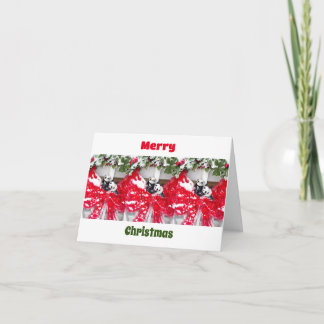 Baby Pandas Love and Peace for Christmas Note Card
